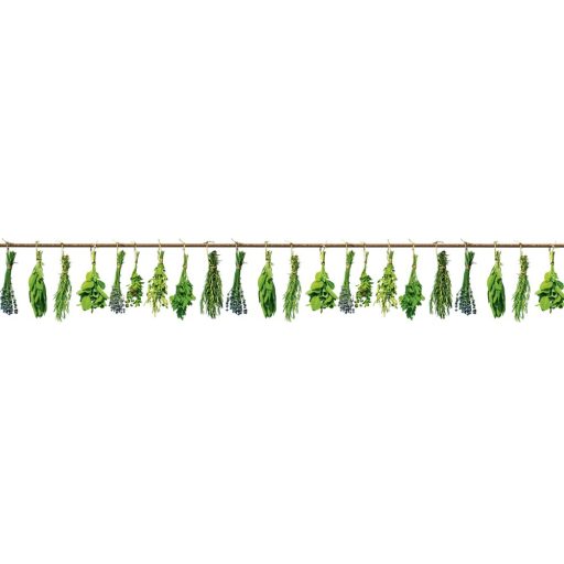Fűszernövények, konyhai matrica hátfal, 350 cm