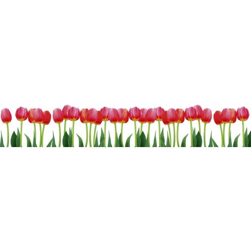 Tulipánok, konyhai matrica hátfal, 350 cm