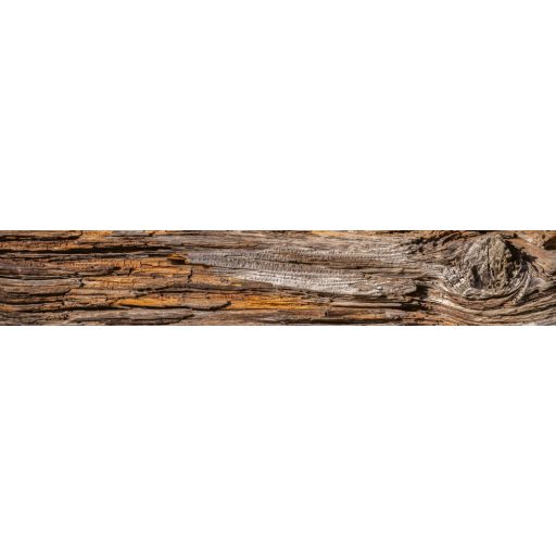 Natúr fa, konyhai matrica hátfal, 350 cm