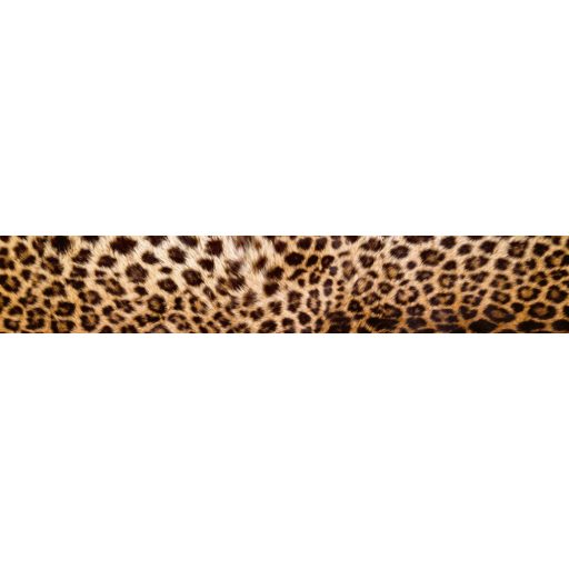 Leopárd, konyhai matrica hátfal, 350 cm
