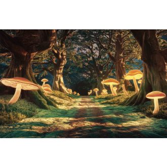   Világító gombák az erdei út szélén, vlies poszter tapéta