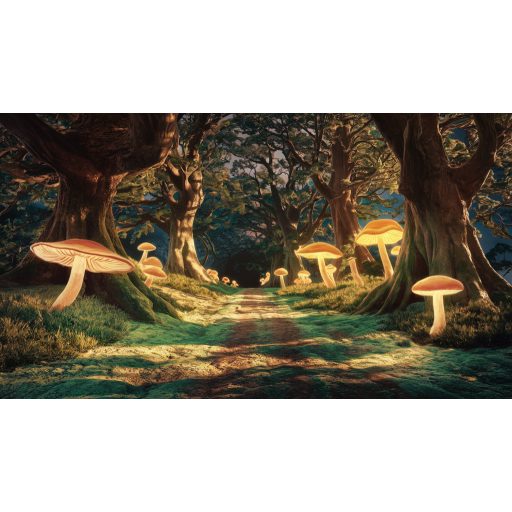 Világító gombák az erdei út szélén, vlies poszter tapéta