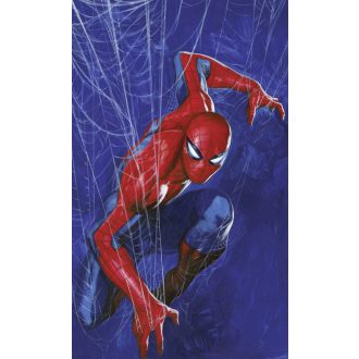 Marvel Pókember - Pókháló, poszter tapéta