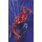 Marvel Pókember - Pókháló, poszter tapéta