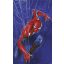 Marvel Pókember - Pókháló, poszter tapéta
