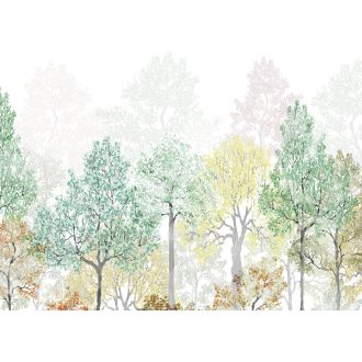 Fényes Szivárvány, poszter tapéta