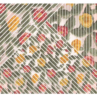 Kaktusz, poszter tapéta