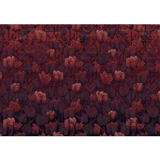 Tulipán, poszter tapéta