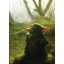 Mandalorian Grogu - Akril, poszter tapéta