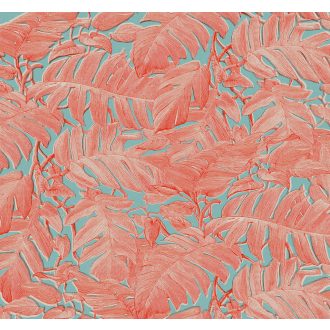 Korall, poszter tapéta