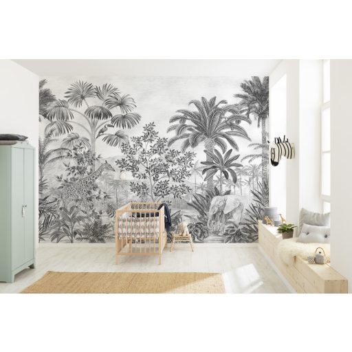 Dzsungel Evolúció, poszter tapéta