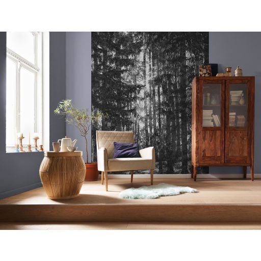 Lappföldi Fények, poszter tapéta