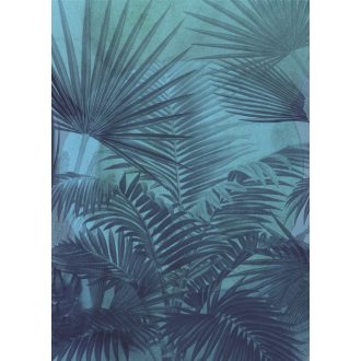 Átláthatóság, poszter tapéta