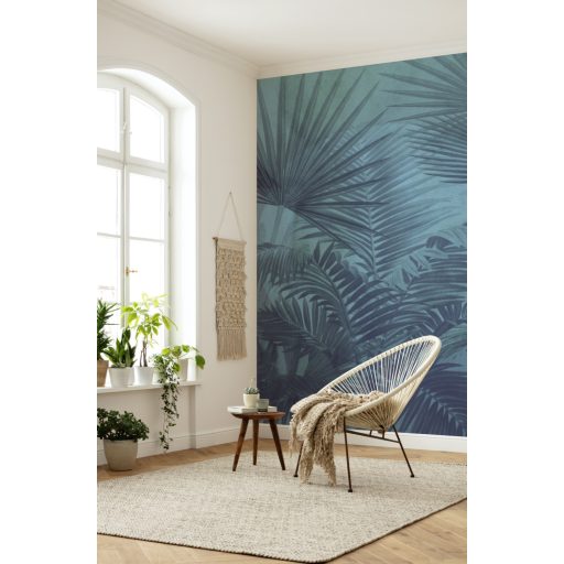 Átláthatóság, poszter tapéta