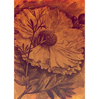 Aratás, poszter tapéta