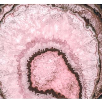 Geóda, poszter tapéta