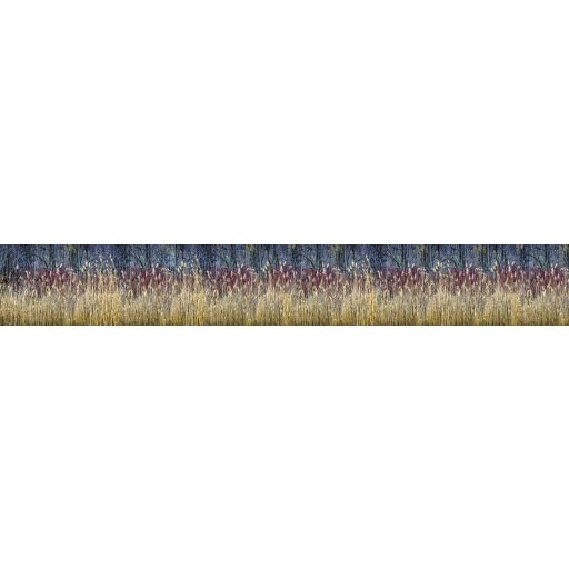 Téli nád, konyhai matrica hátfal, 420 cm