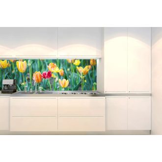 Színes tulipánok, konyhai matrica hátfal, 180 cm