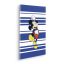 Mickey Rockstar, vászonkép