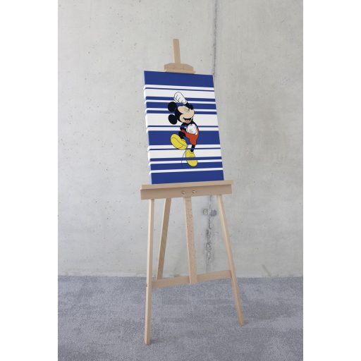 Mickey Rockstar, vászonkép