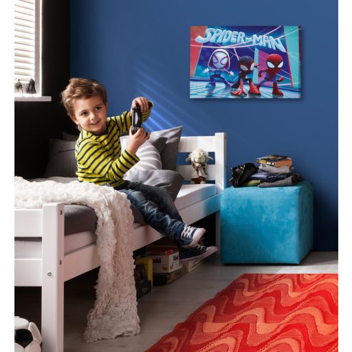 Spidey és csodálatos barátai Fényes Spideyek, vászonkép