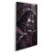 Star Wars Darth Vader Akril, vászonkép