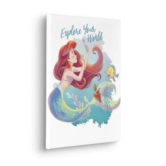 Disney Ariel Fedezd fel a világod, vászonkép