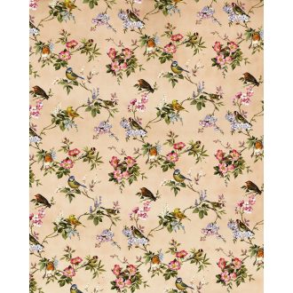 Holnap Koncertje, poszter tapéta