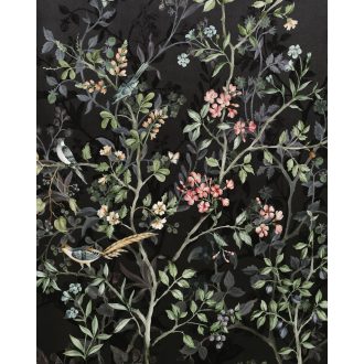 Királyi Éjszaka, poszter tapéta