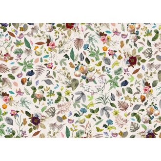 Négy Évszak, poszter tapéta