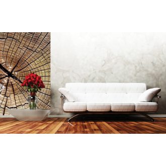 A fa töredezései, poszter tapéta 150*250 cm