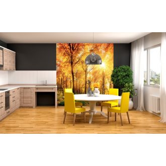 Őszi erdő, poszter tapéta 225*250 cm