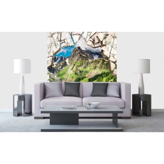 Áttört fal - tájkép, poszter tapéta 225*250 cm