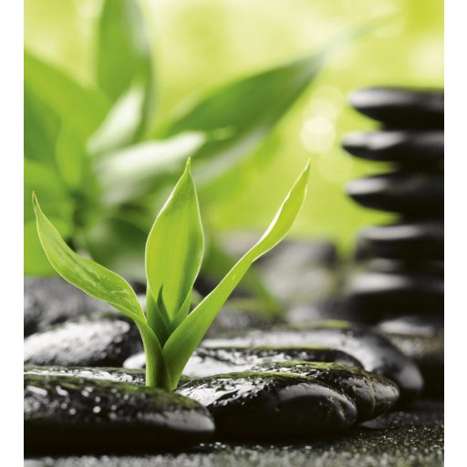 Lávakövek, poszter tapéta 225*250 cm