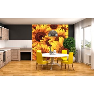 Napraforgó virágok, poszter tapéta 225*250 cm