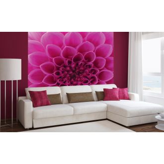 Rózsaszín virág közepe, poszter tapéta 225*250 cm