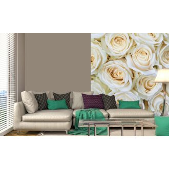 Fehér rózsafejek, poszter tapéta 225*250 cm