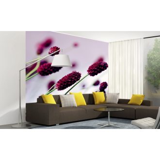 Lila virágszálak, poszter tapéta 225*250 cm