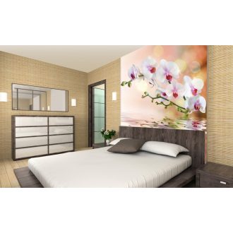 Orchidea, poszter tapéta 225*250 cm
