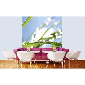 Vízes növény, poszter tapéta 225*250 cm
