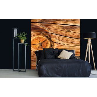 Fa erezete, poszter tapéta 225*250 cm