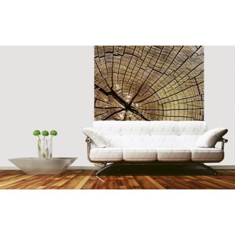 A fa töredezései, poszter tapéta 225*250 cm