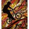 BMX-es, poszter tapéta 225*250 cm
