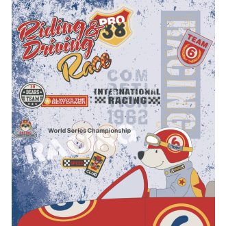 Riding & Driving, poszter tapéta 225*250 cm
