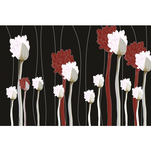 Festett növények, poszter tapéta 375*250 cm