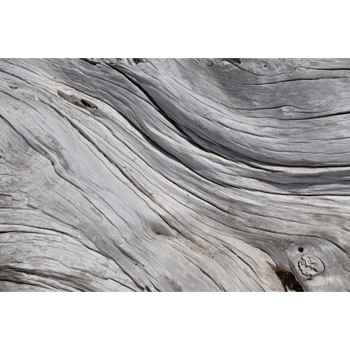 Szürke fakéreg, poszter tapéta 375*250 cm