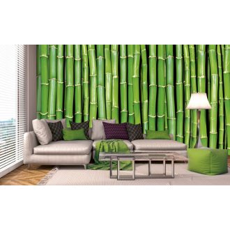 Zöld növény, poszter tapéta 375*250 cm