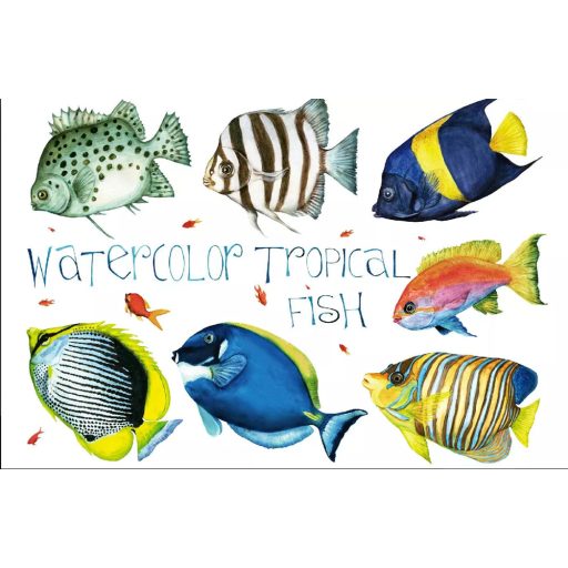 Trópusi halak, poszter tapéta 375*250 cm