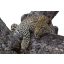 Leopárd egy fán, poszter tapéta 375*250 cm