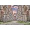 San Galgano Siena, poszter tapéta 375*250 cm